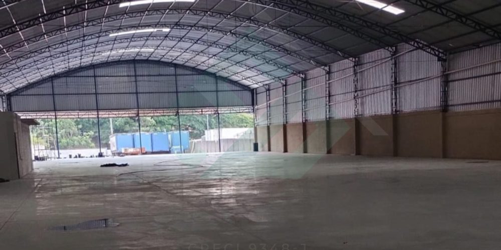 Design sem nome (40)