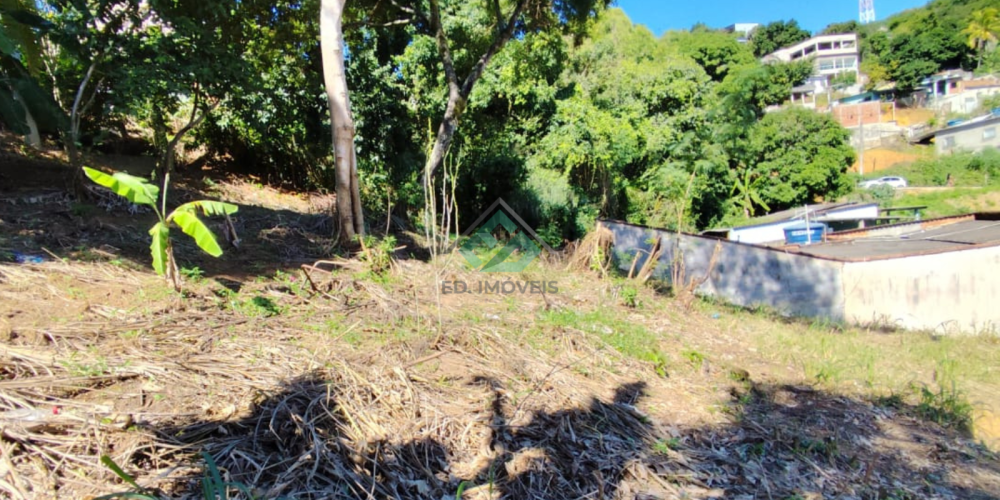 LOTE VILA PRUDENCIO (1)