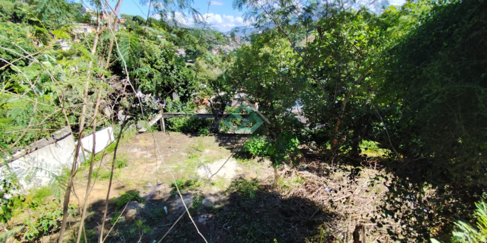 LOTE VILA PRUDENCIO (2)