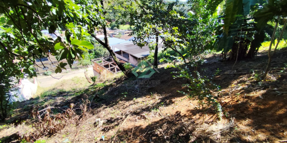 LOTE VILA PRUDENCIO (3)