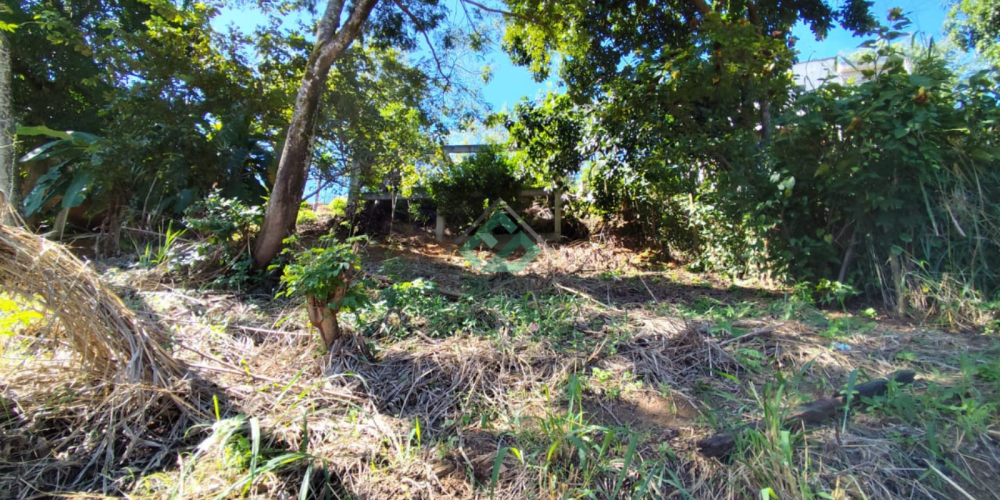 LOTE VILA PRUDENCIO (4)