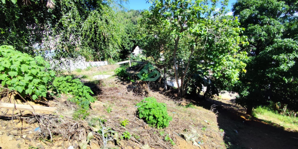 LOTE VILA PRUDENCIO (5)