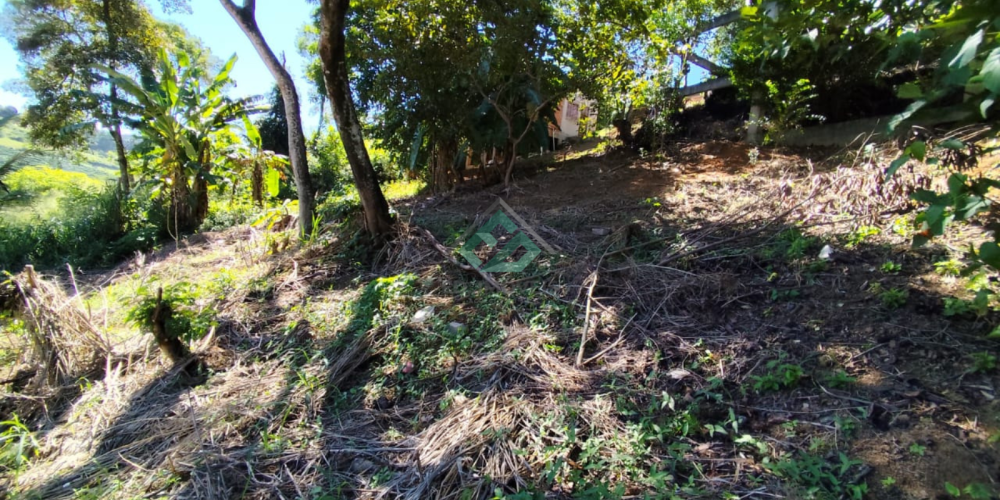 LOTE VILA PRUDENCIO (6)