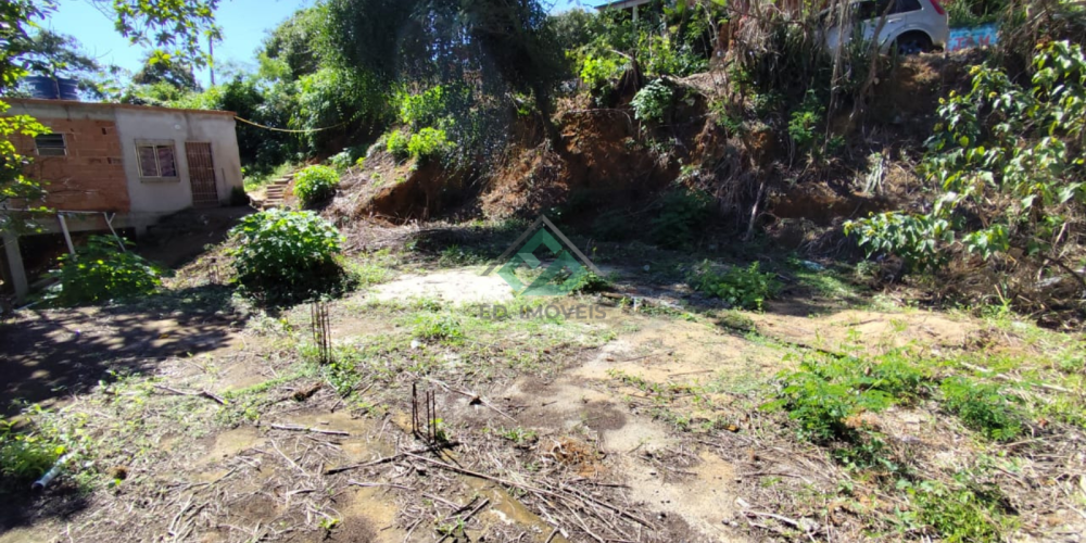 LOTE VILA PRUDENCIO (7)