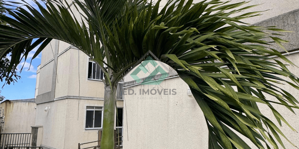 ap vila safira talita (1)